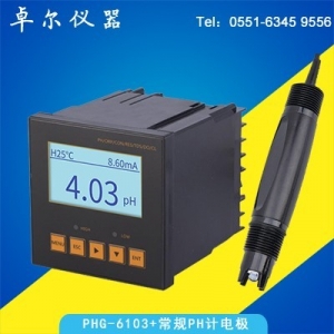 在線PH計(jì)PHG6103